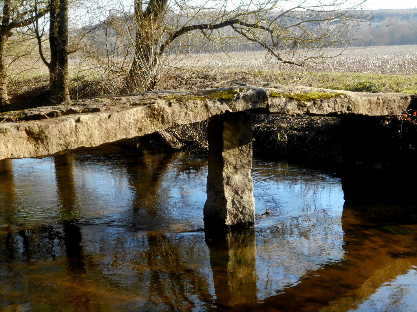 Les reflets dans le petit ruisseau