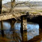 Les reflets dans le petit ruisseau