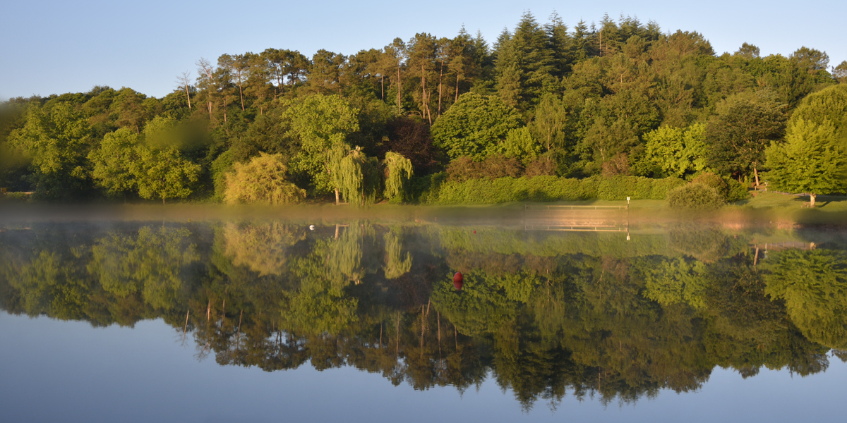 les reflets sur l'étang