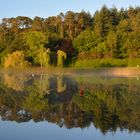 les reflets sur l'étang