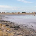 Les remparts d'Aigues-Mortes depuis les Salins.