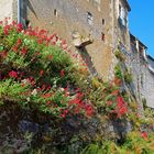 Les remparts de Lectoure