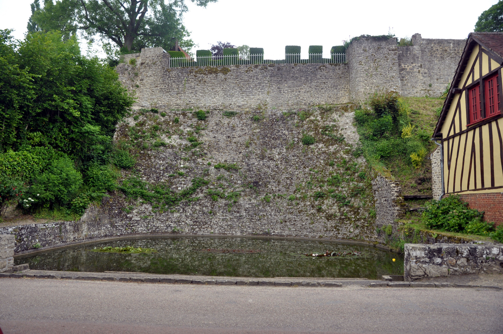 les remparts ds la mare aux nénuphars!:)