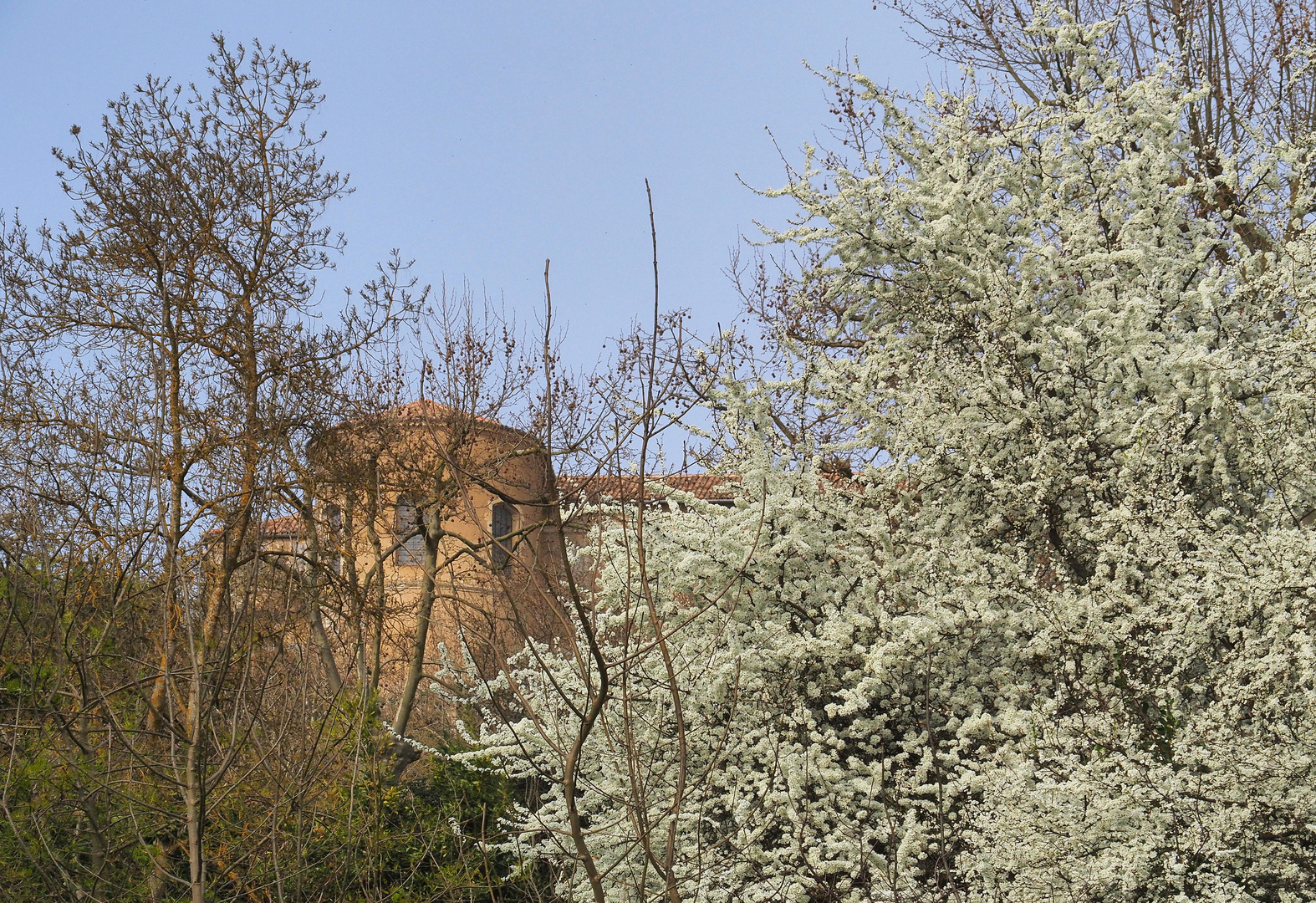 Les remparts du Château des Comtes d’Armagnac au printemps