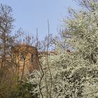 Les remparts du Château des Comtes d’Armagnac au printemps