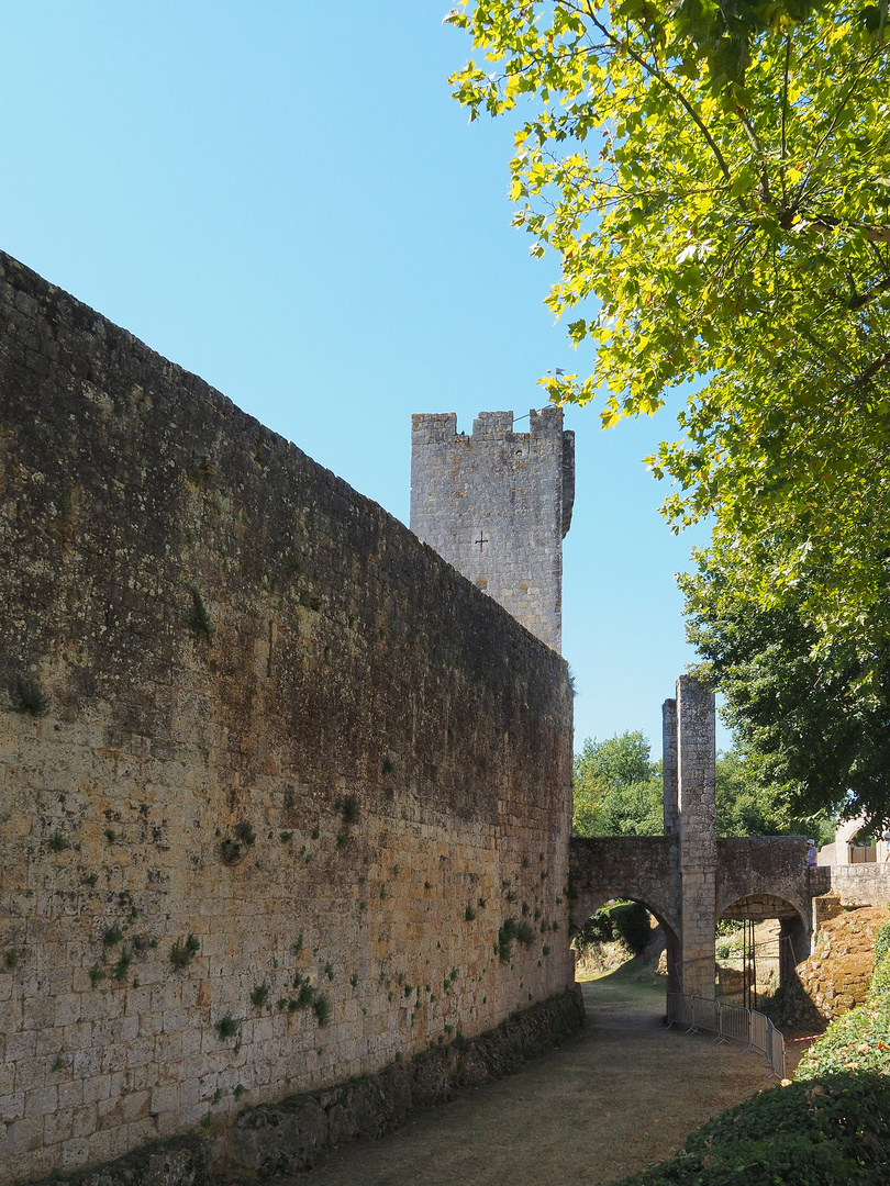 Les remparts et la porte d’entrée de Larressingle