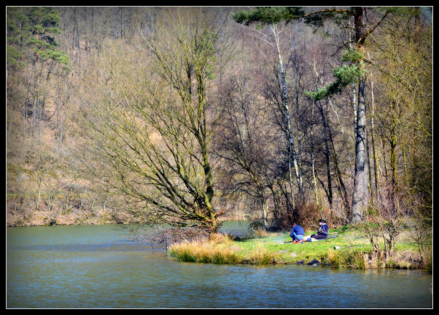 les robinsons du picnic