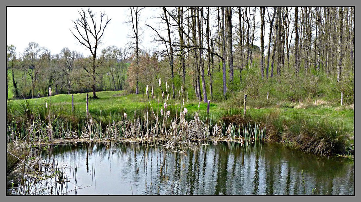 LES ROSEAUX photo et image paysages paysages de LES ROSEAUX photo et image paysages paysages de