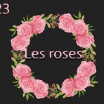 Les roses 