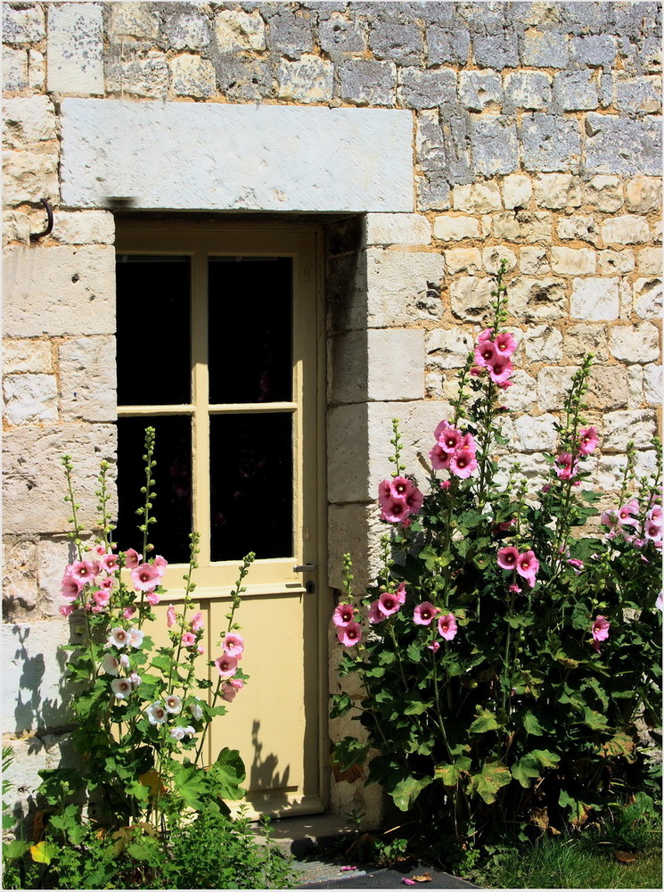 Les Roses Trémières