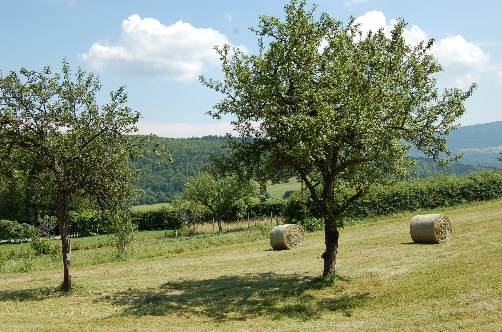 Les rouleaux