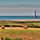 Les rouleaux du Cotentin.