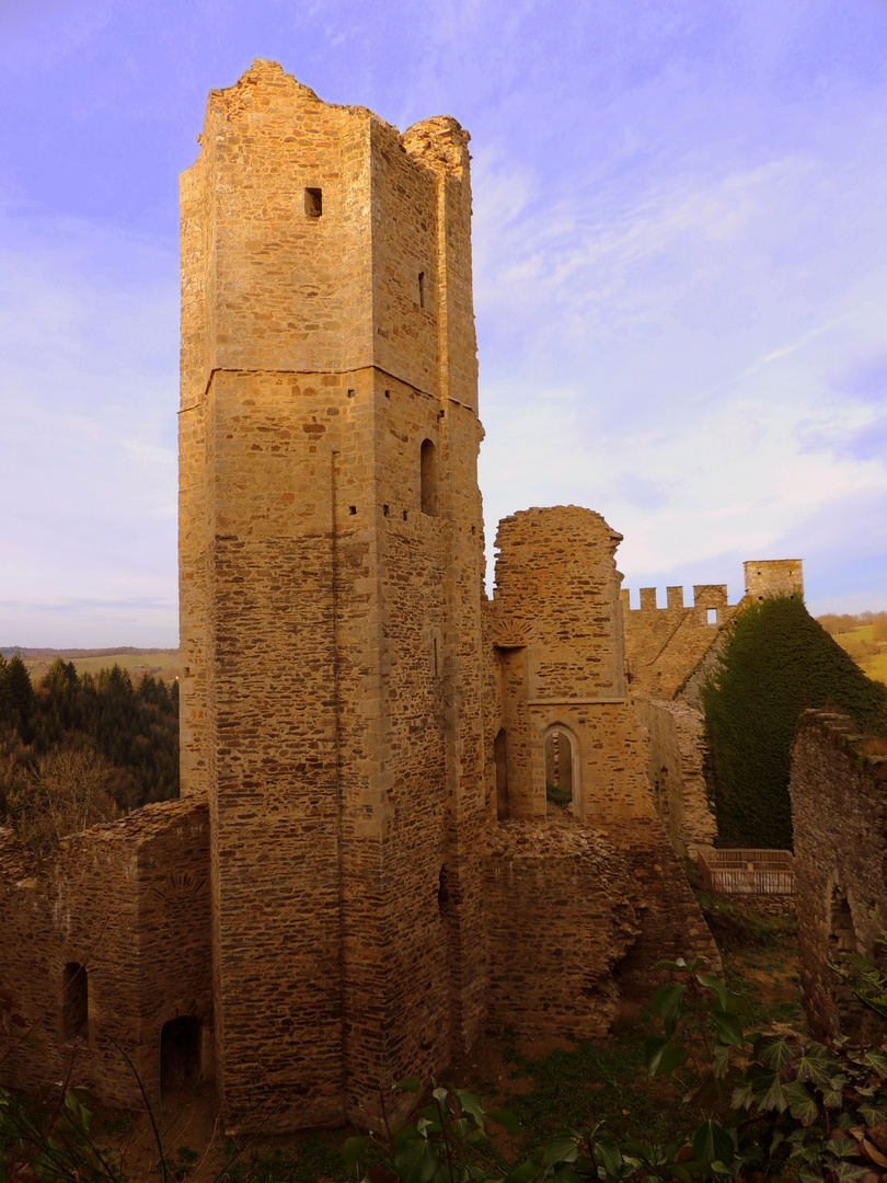 Les ruines de Chalusset