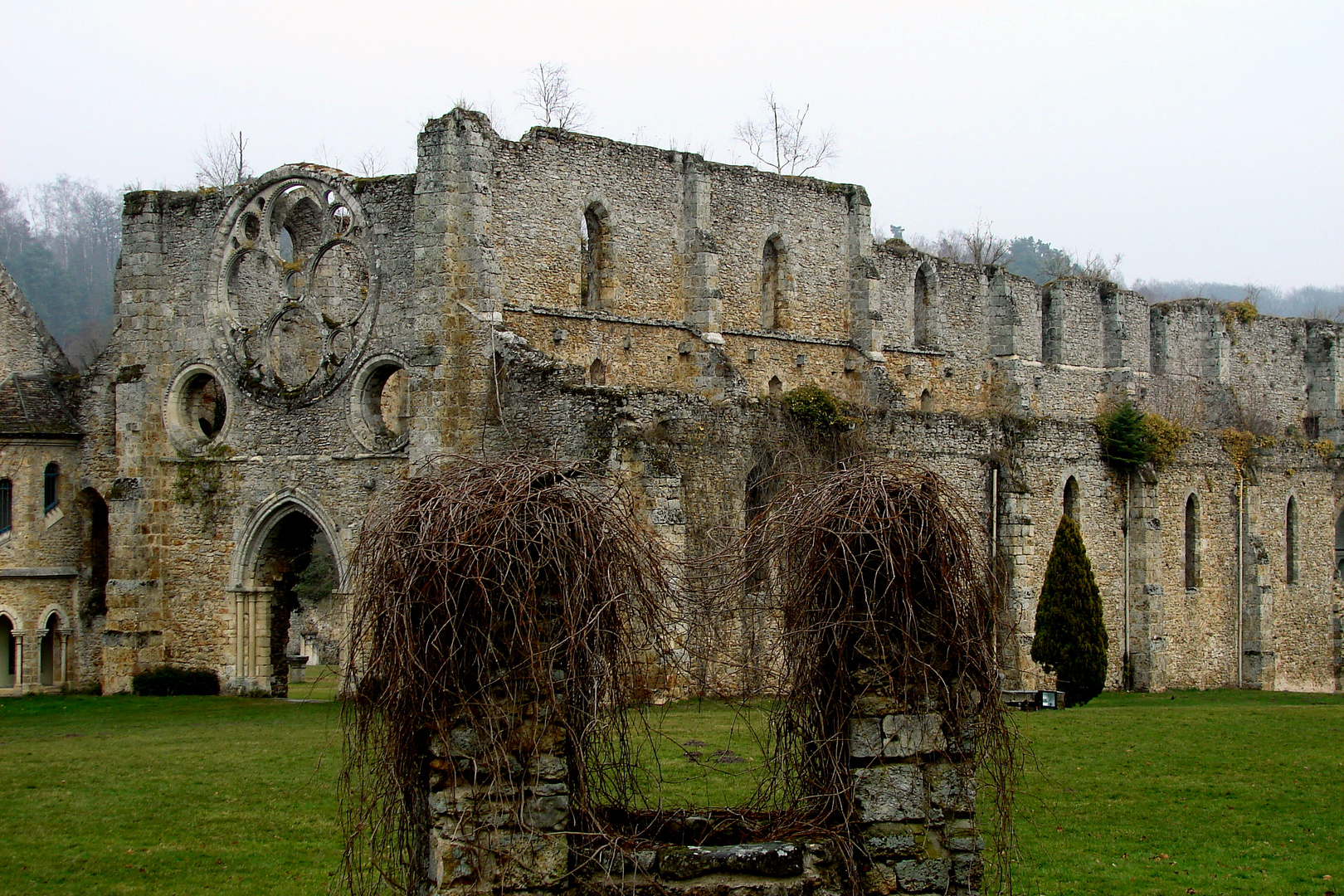 les Ruines de l'Abbaye