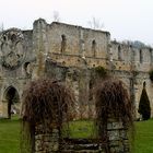 les Ruines de l'Abbaye