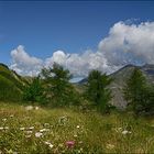 Les ruines de l'Authion