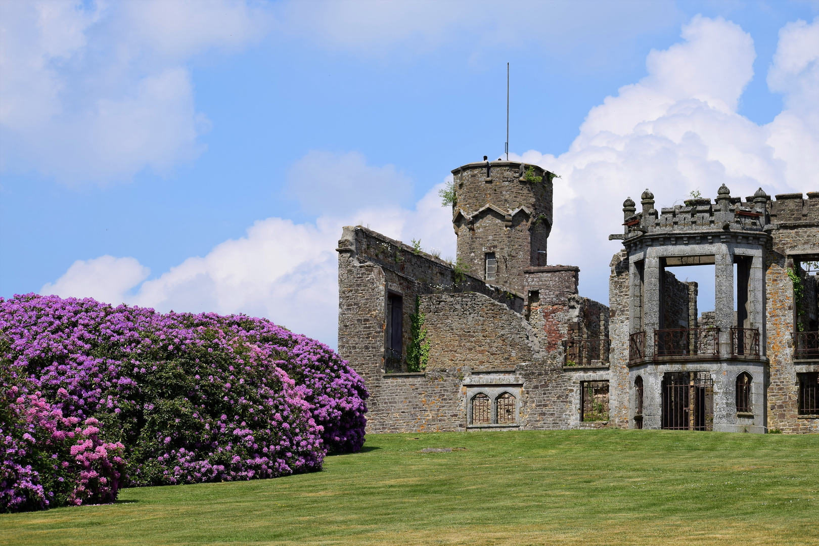 les ruines du Chateau