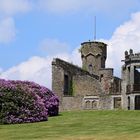 les ruines du Chateau