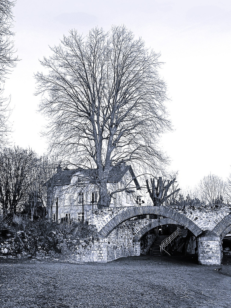 Les ruines du Moulin de Chelles 77