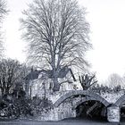 Les ruines du Moulin de Chelles 77