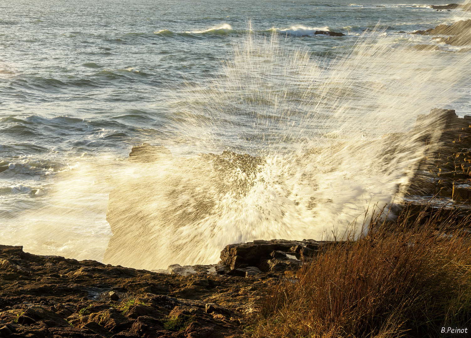 Les Sables D'Olonne