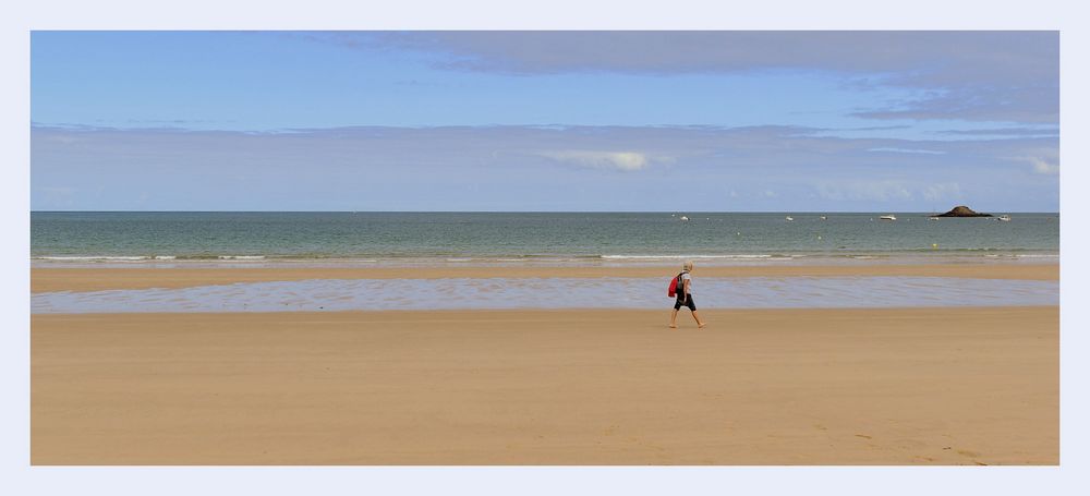 les sables d'or les pins