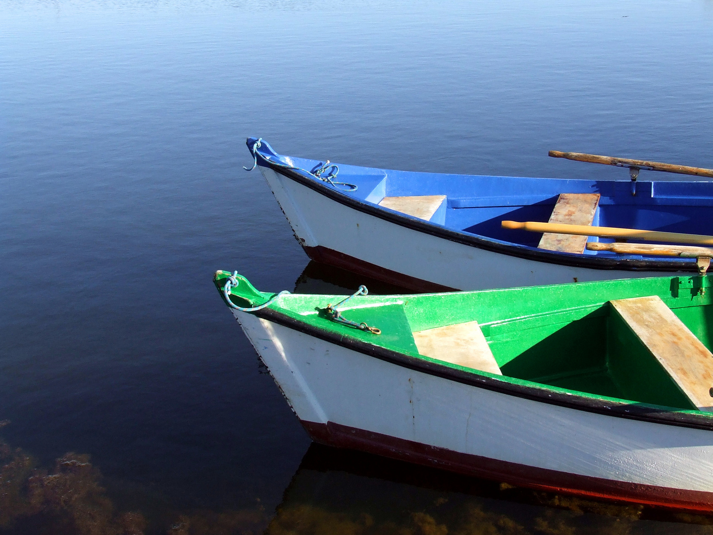 Les Salines