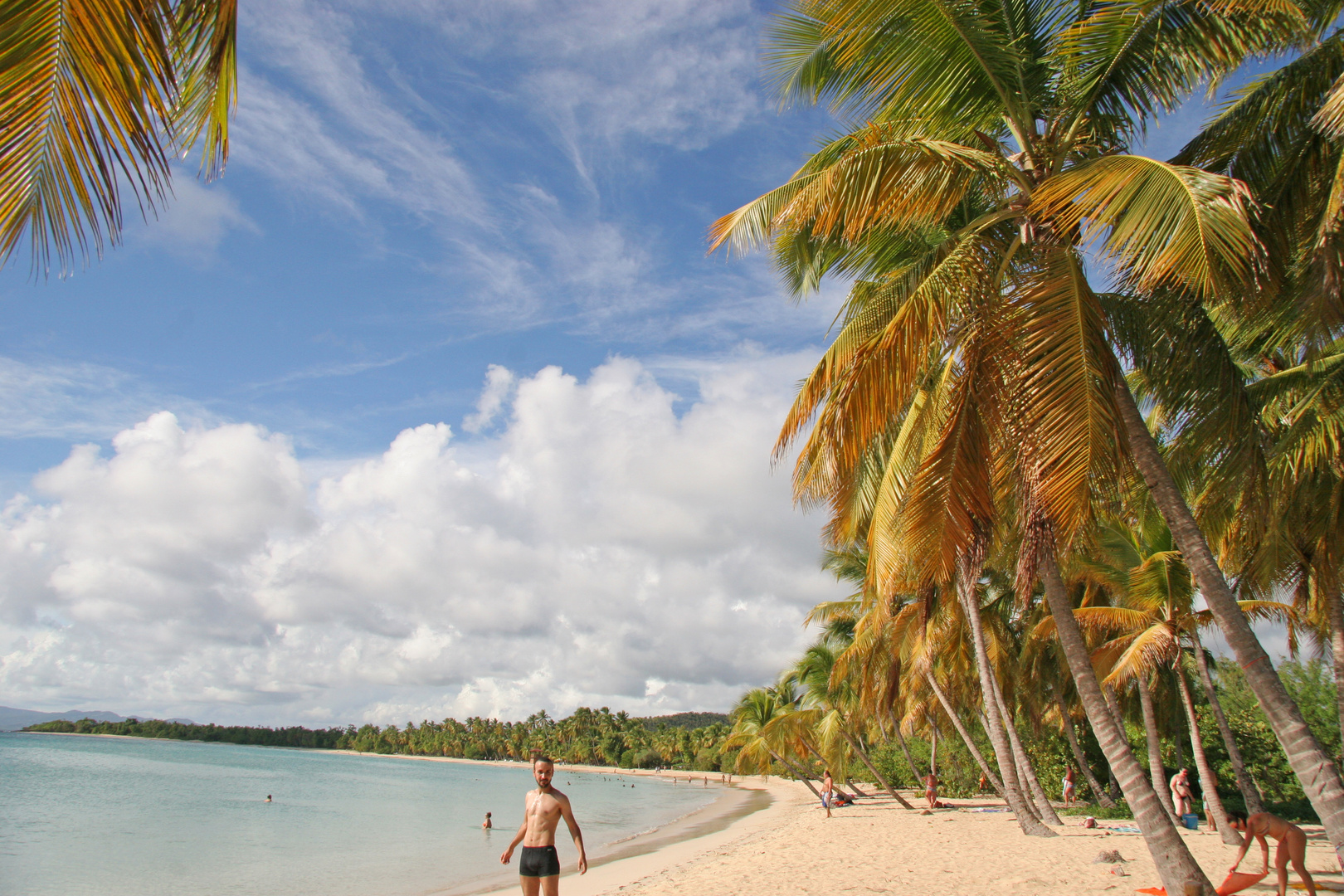 les salines