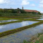 Les salines