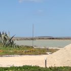 Les salines de Marsala, Sicile