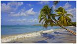 Les Salines Martinique janvier 2012 von ApollonZeus 