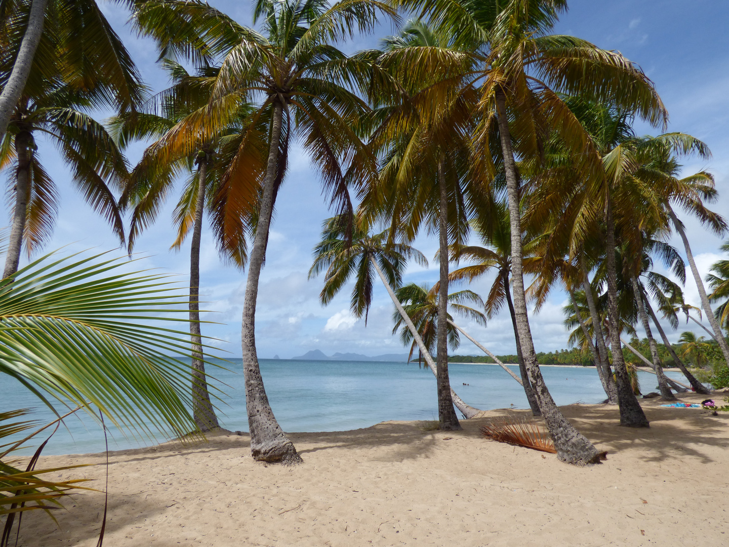 Les Salines..Martinique