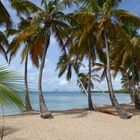 Les Salines..Martinique