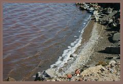 Les Salins à Gruissan 3