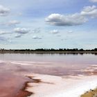 Les Salins d'Aigues Mortes