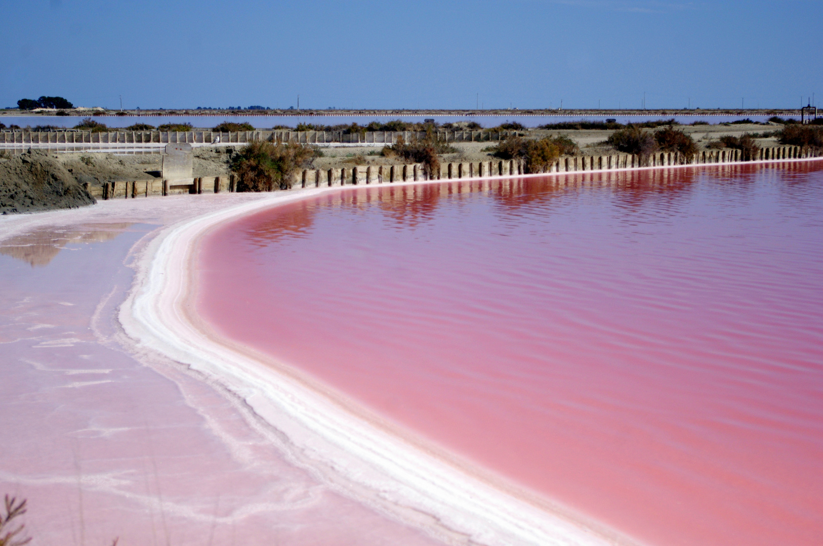 Les salins d'Aigues Mortes