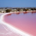 Les salins d'Aigues Mortes