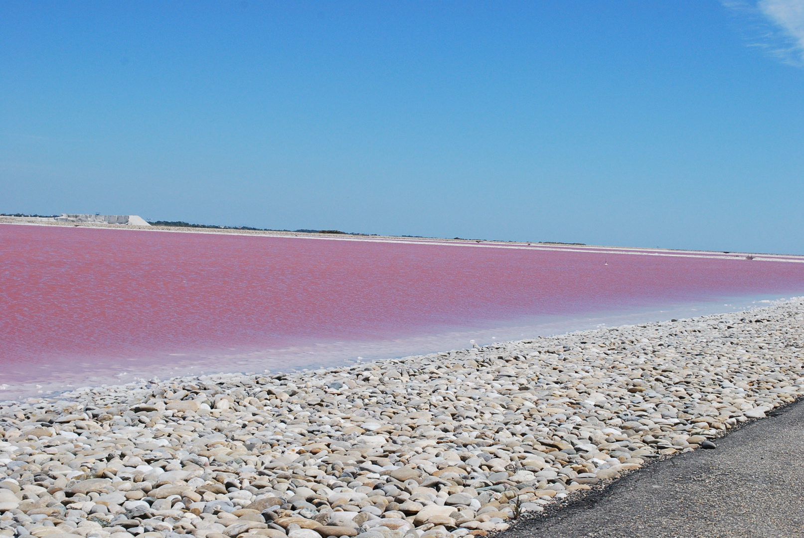 Les salins