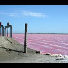 Les salins de Camargue