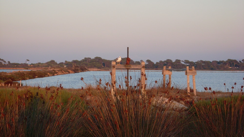 les salins de hyeres