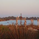 les salins de hyeres