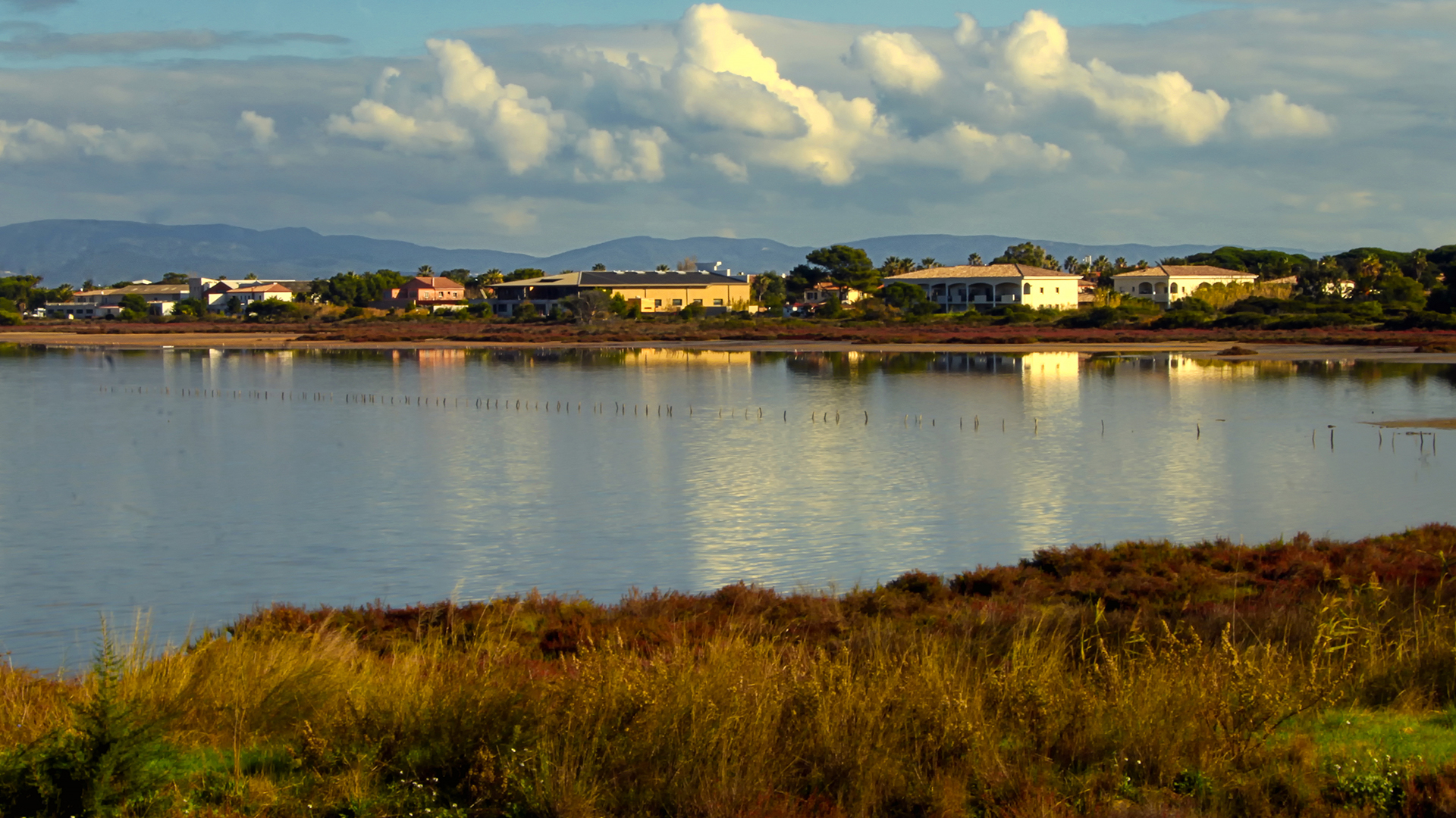 Les Salins des Pesquiers en hiver