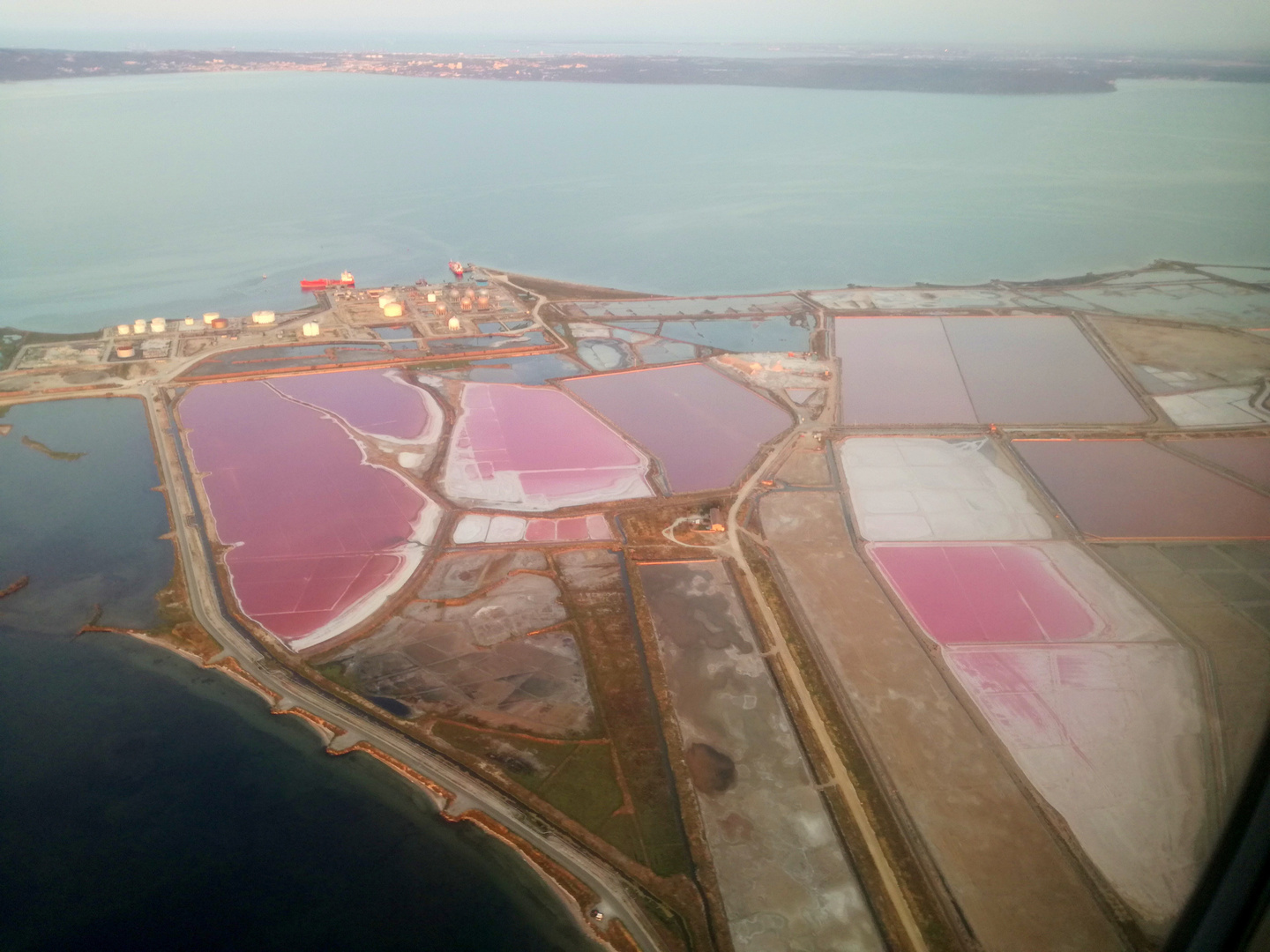 Les Salins du Lion 