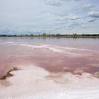 Les salins du Midi