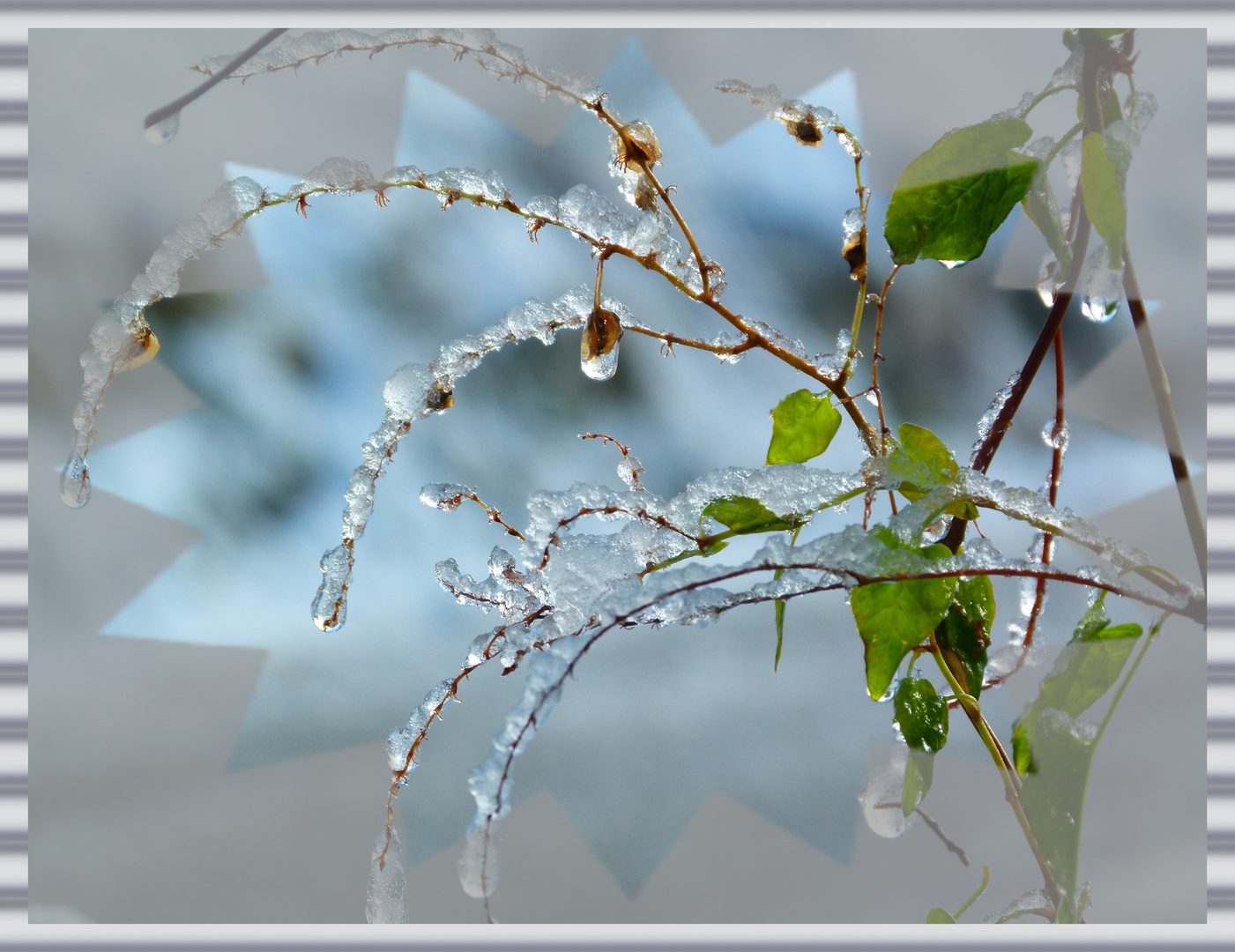  * les sanglots de l'hiver, de Dame Nature *