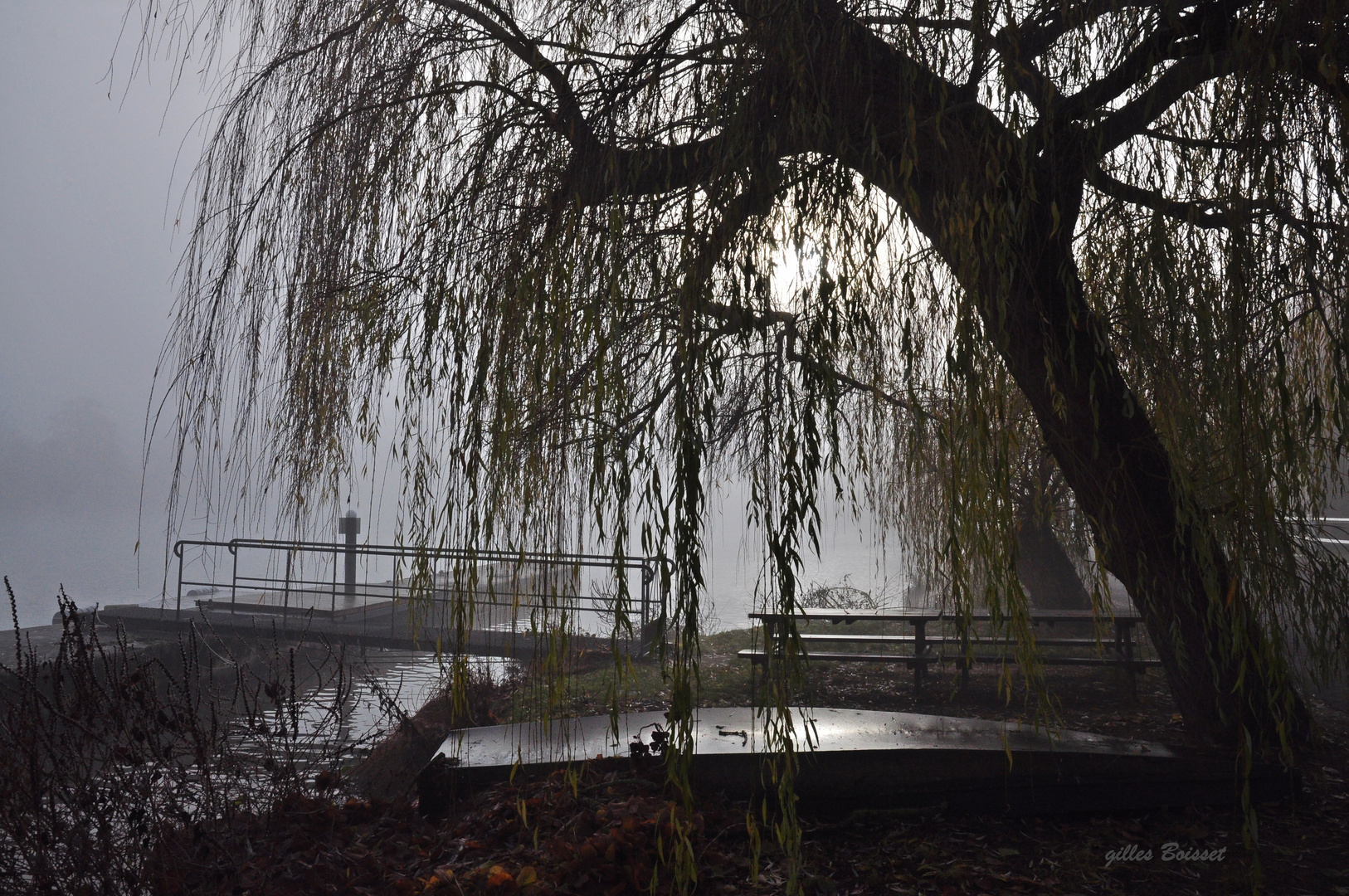 les sanglots longs de l'automne