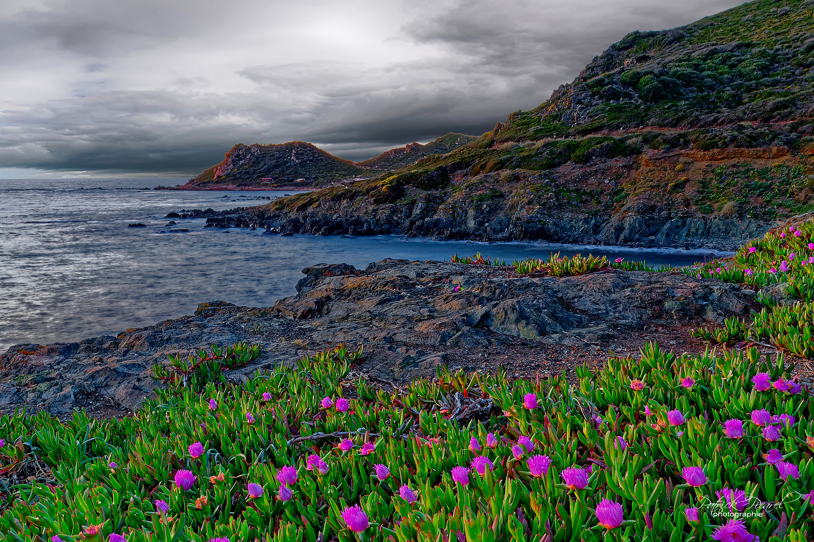 Îles sanguinaires Ajaccio 