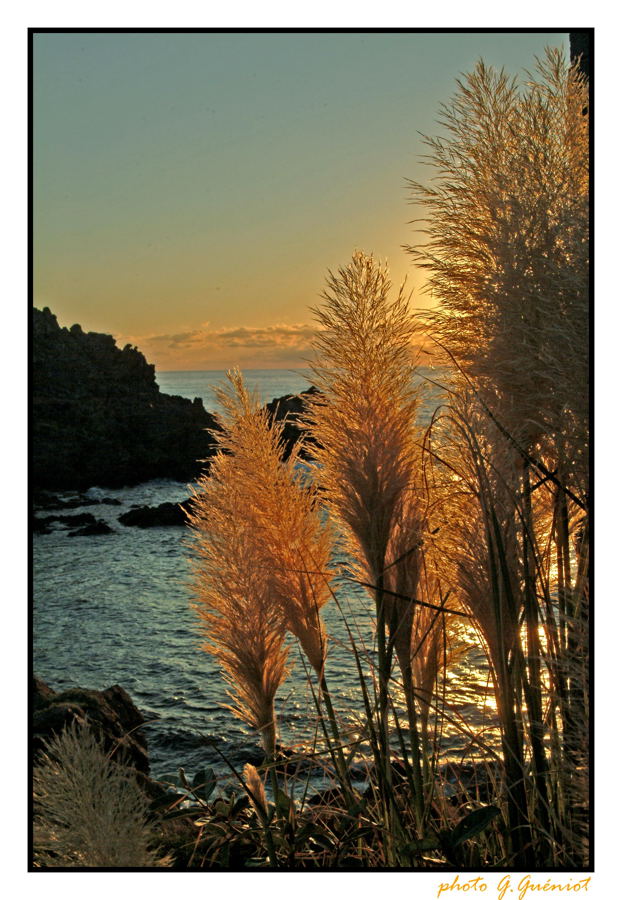 les sanguinaires Ajaccio