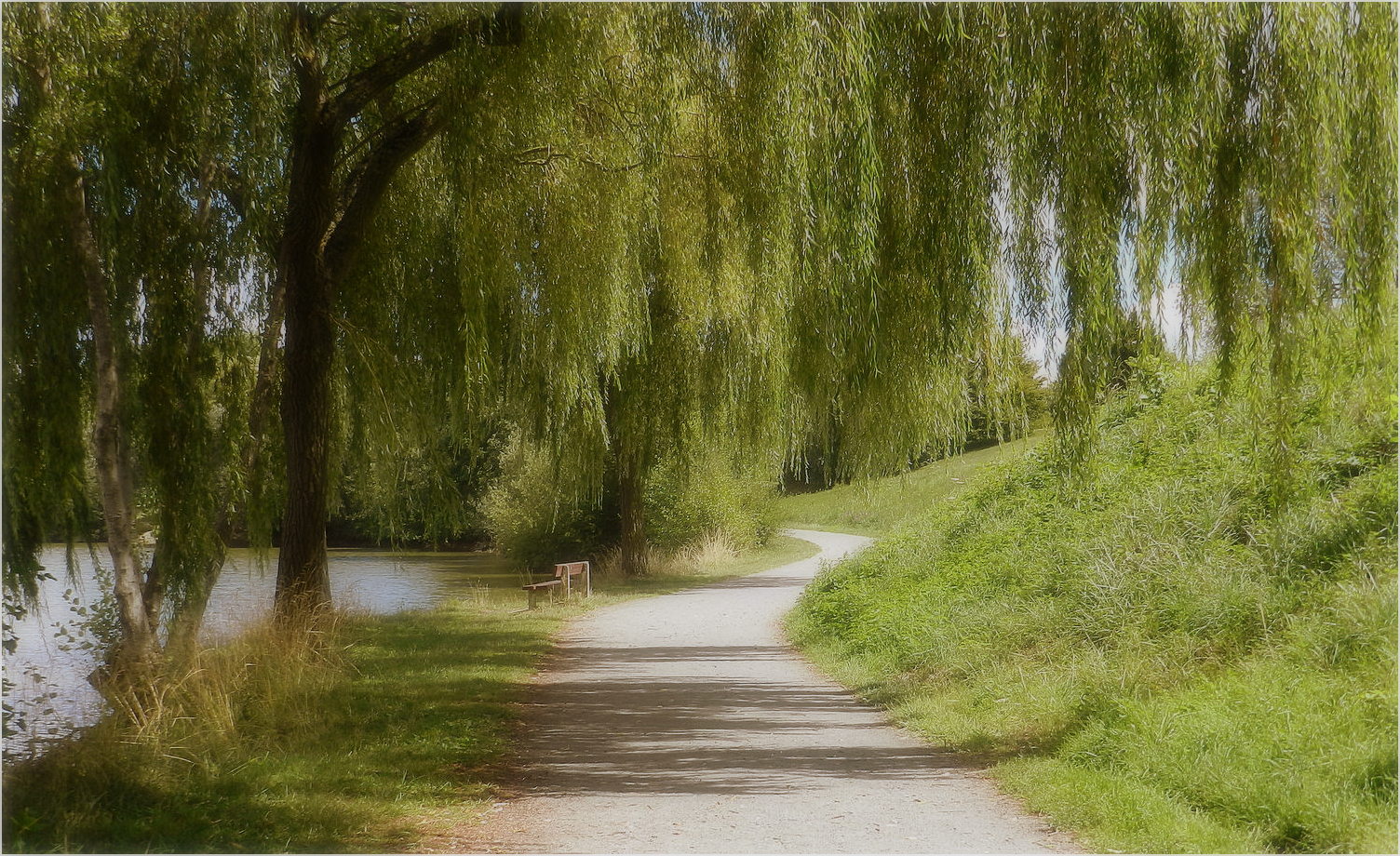 Là Où Les Saules Ne Pleurent Pas les saules pleureurs photo et image | paysages, lacs, rivières