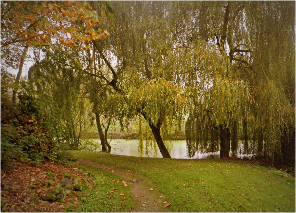Là Où Les Saules Ne Pleurent Pas les saules pleureurs photo et image | paysages, lacs, rivières